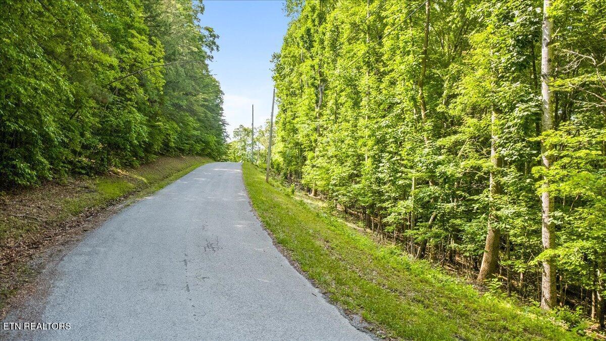 Norris Lake Real Estate - Image# 10