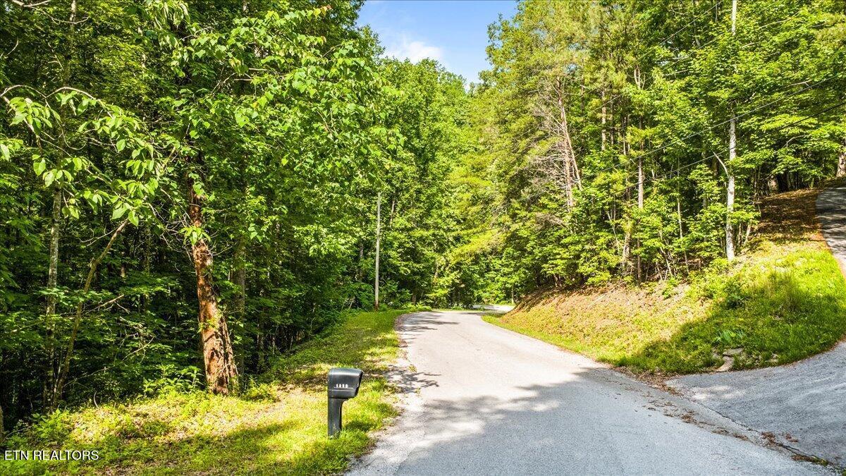 Norris Lake Real Estate - Image# 11