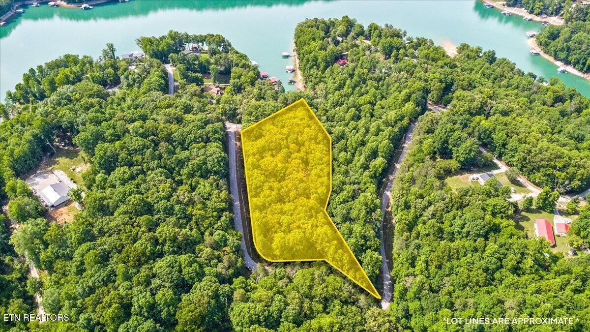 Norris Lake Real Estate - Image# 12