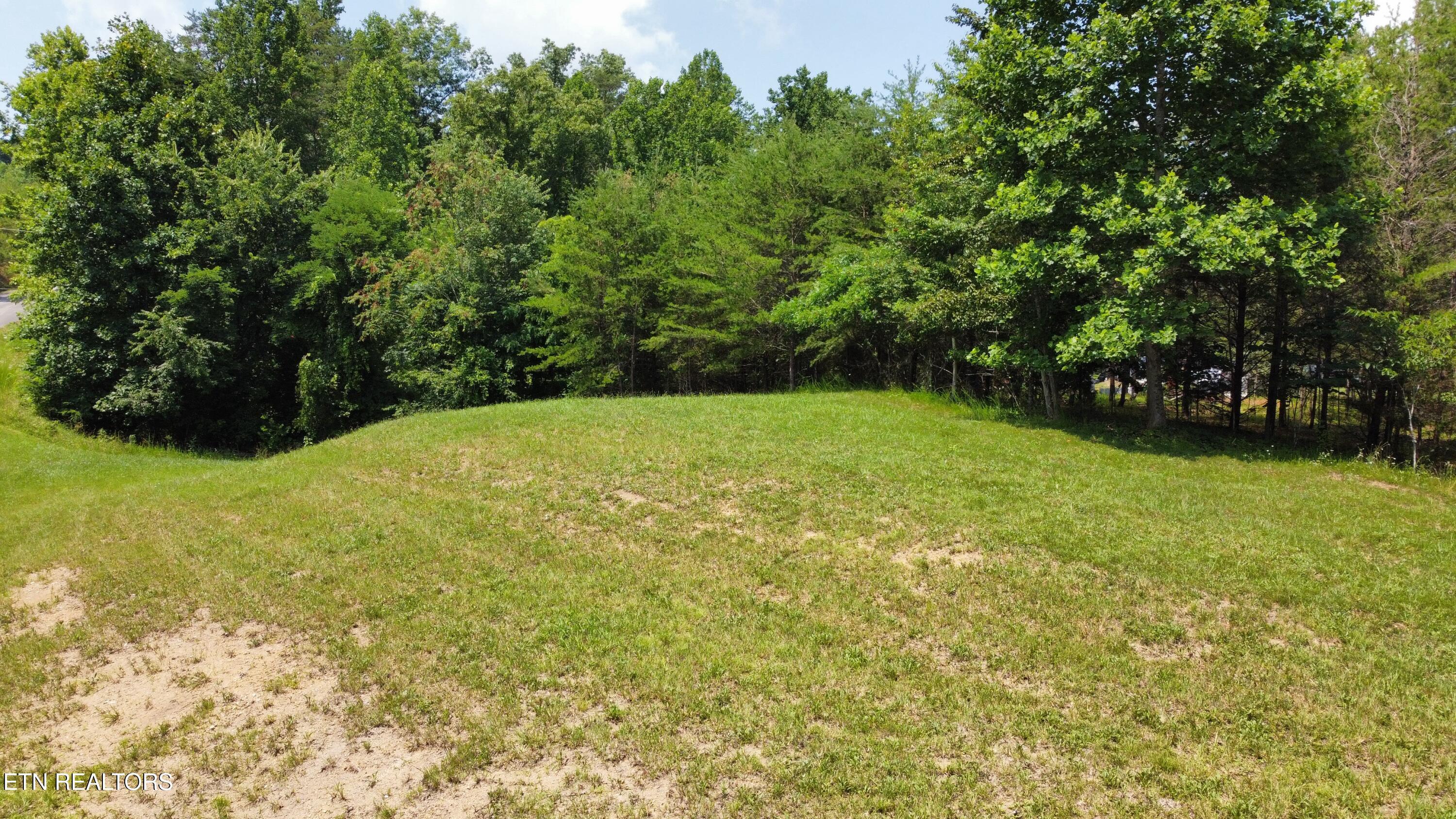 Norris Lake Real Estate - Image# 3