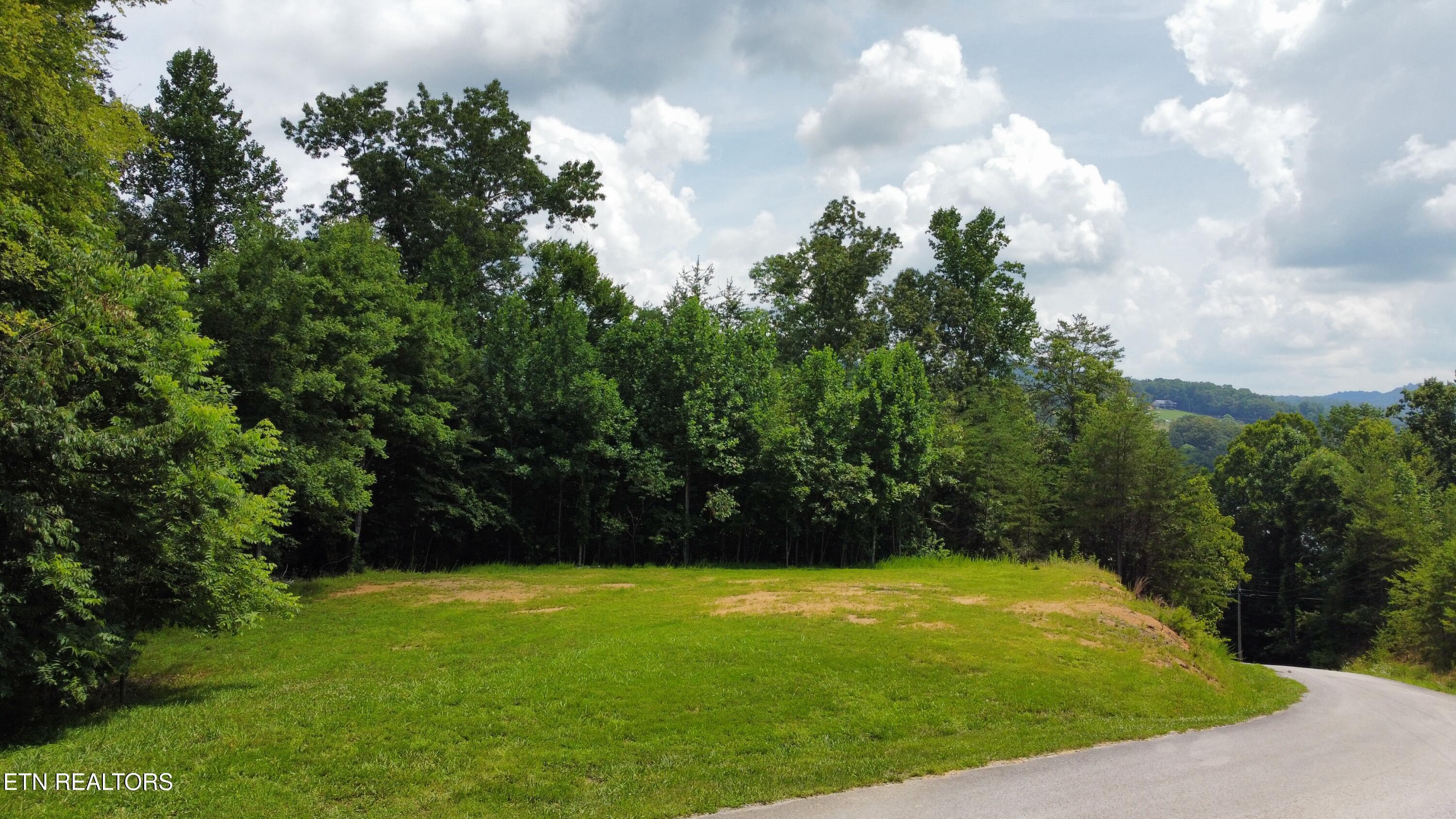 Norris Lake Real Estate - Image# 4