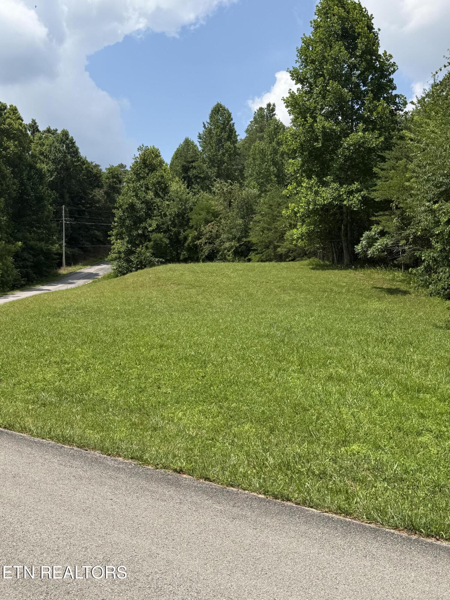 Norris Lake Real Estate - Image# 8