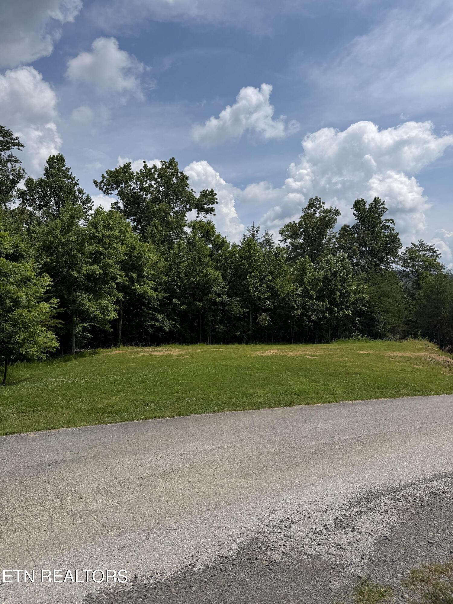 Norris Lake Real Estate - Image# 9
