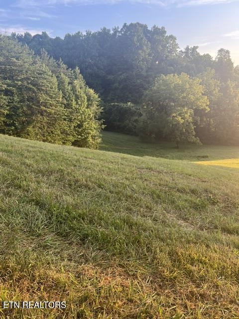 Sierra Ridge, Sharps Chapel, TN - Norris Lake Real Estate - Image# 6