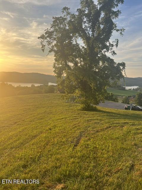 Sierra Ridge, Sharps Chapel, TN - Norris Lake Real Estate - Image# 8