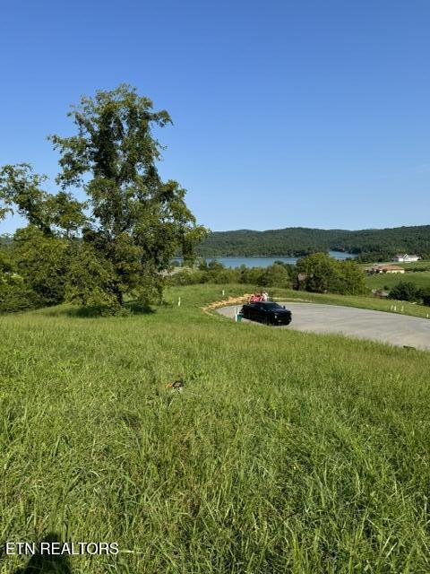 Sierra Ridge, Sharps Chapel, TN - Norris Lake Real Estate - Image# 1