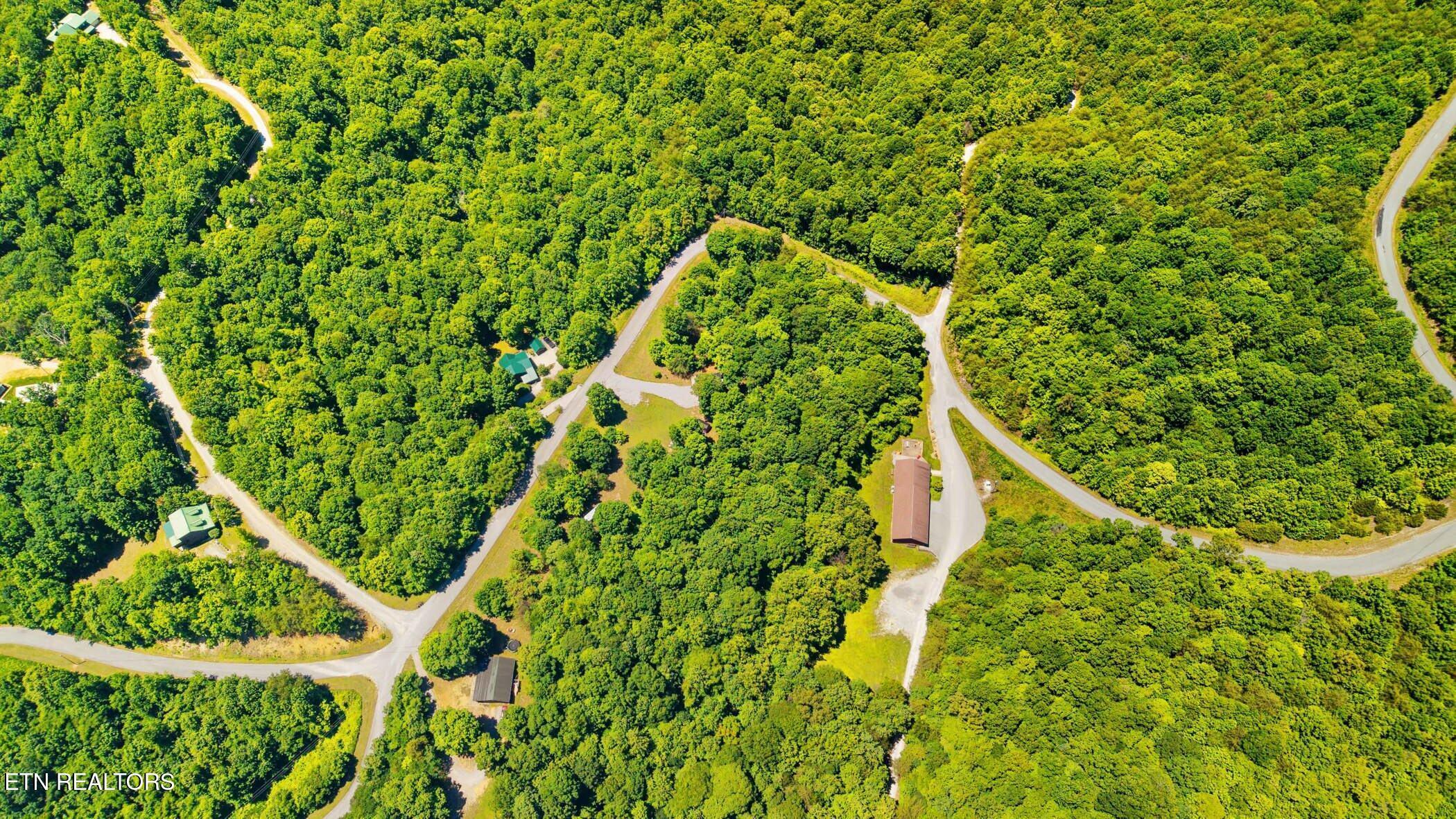 Norris Lake Real Estate - Image# 4