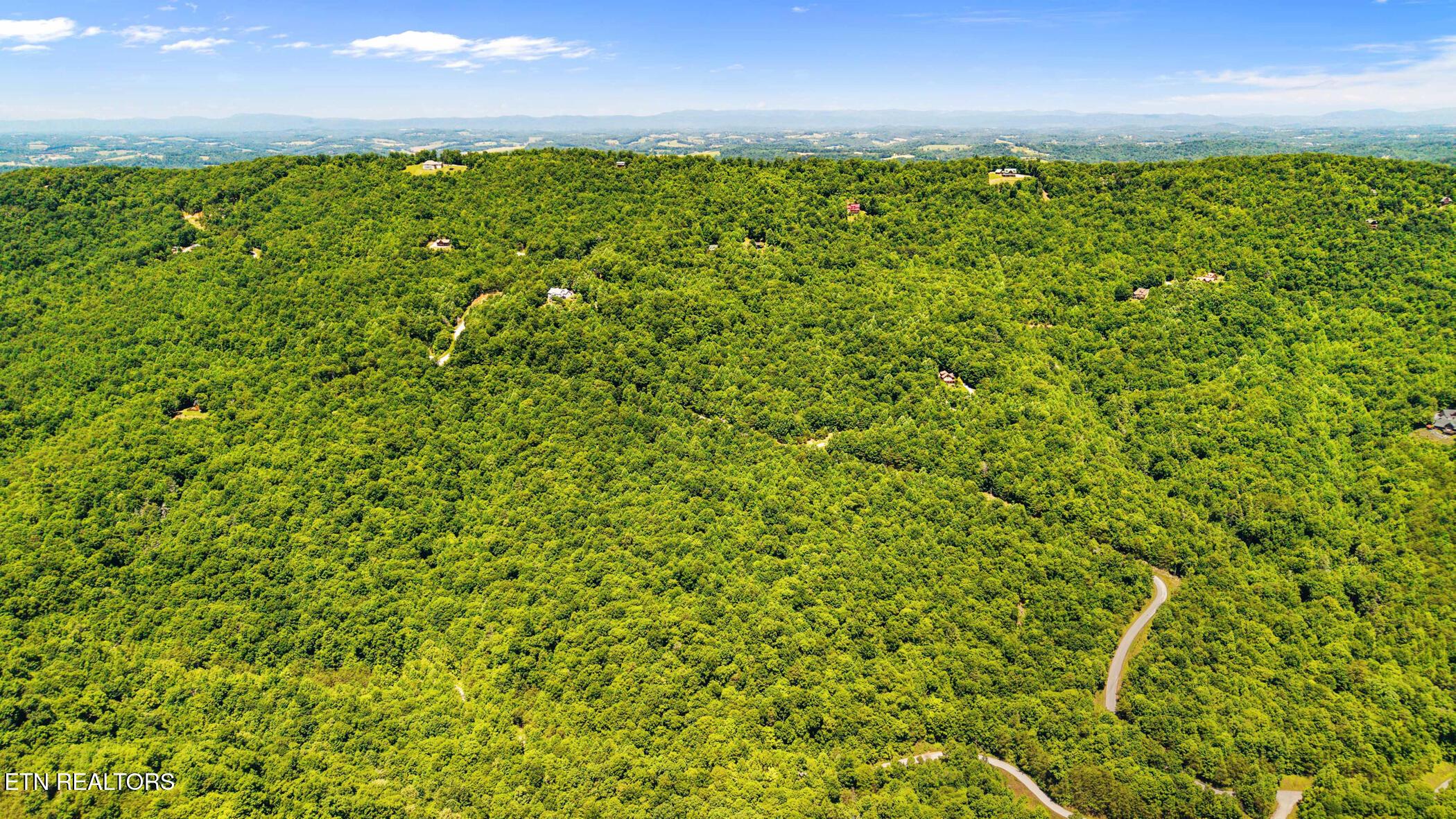 Norris Lake Real Estate - Image# 6