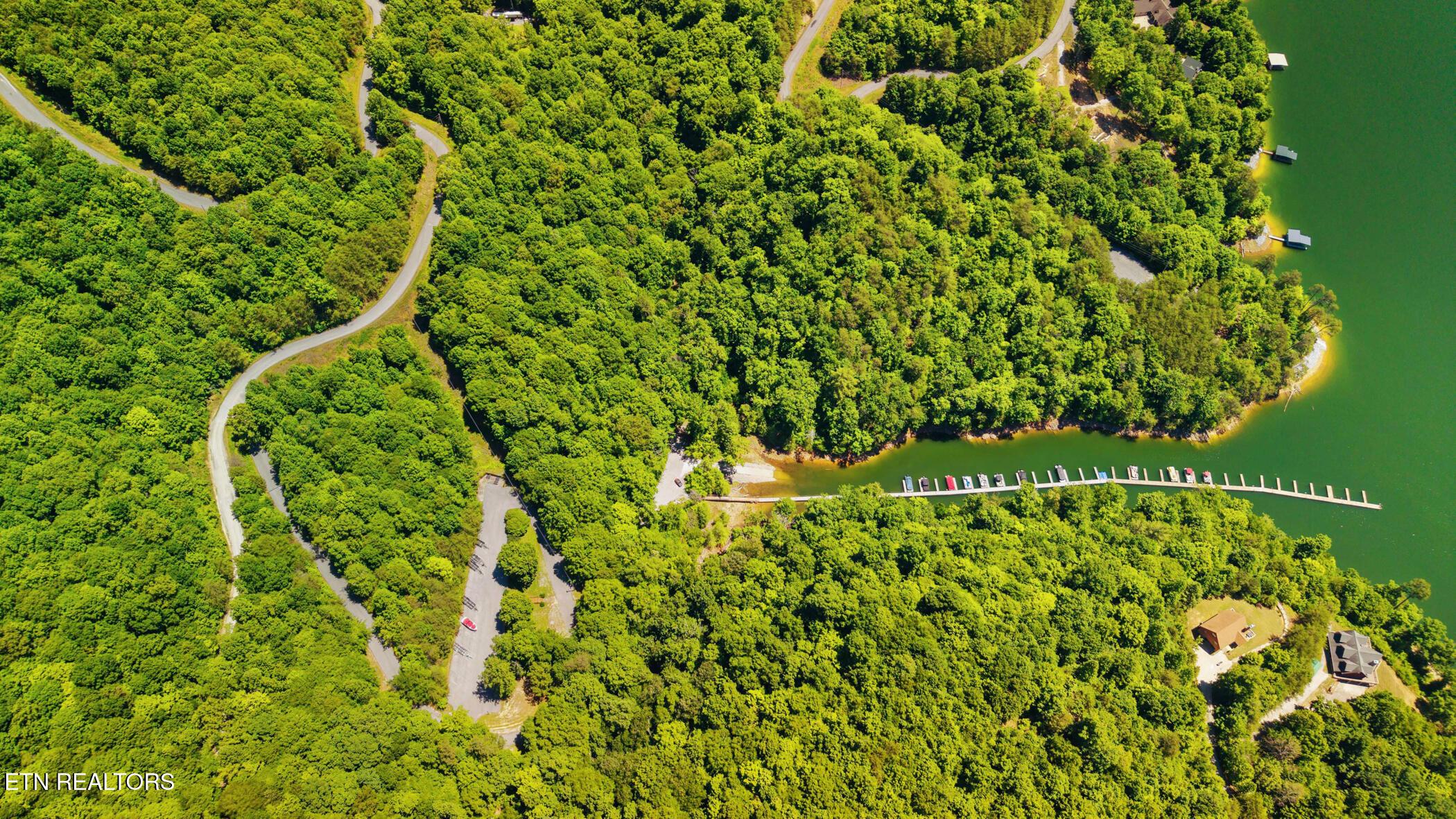 Norris Lake Real Estate - Image# 7