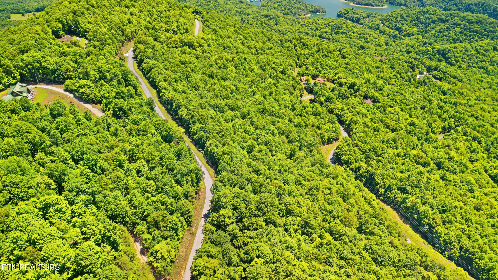 Norris Lake Real Estate - Image# 12