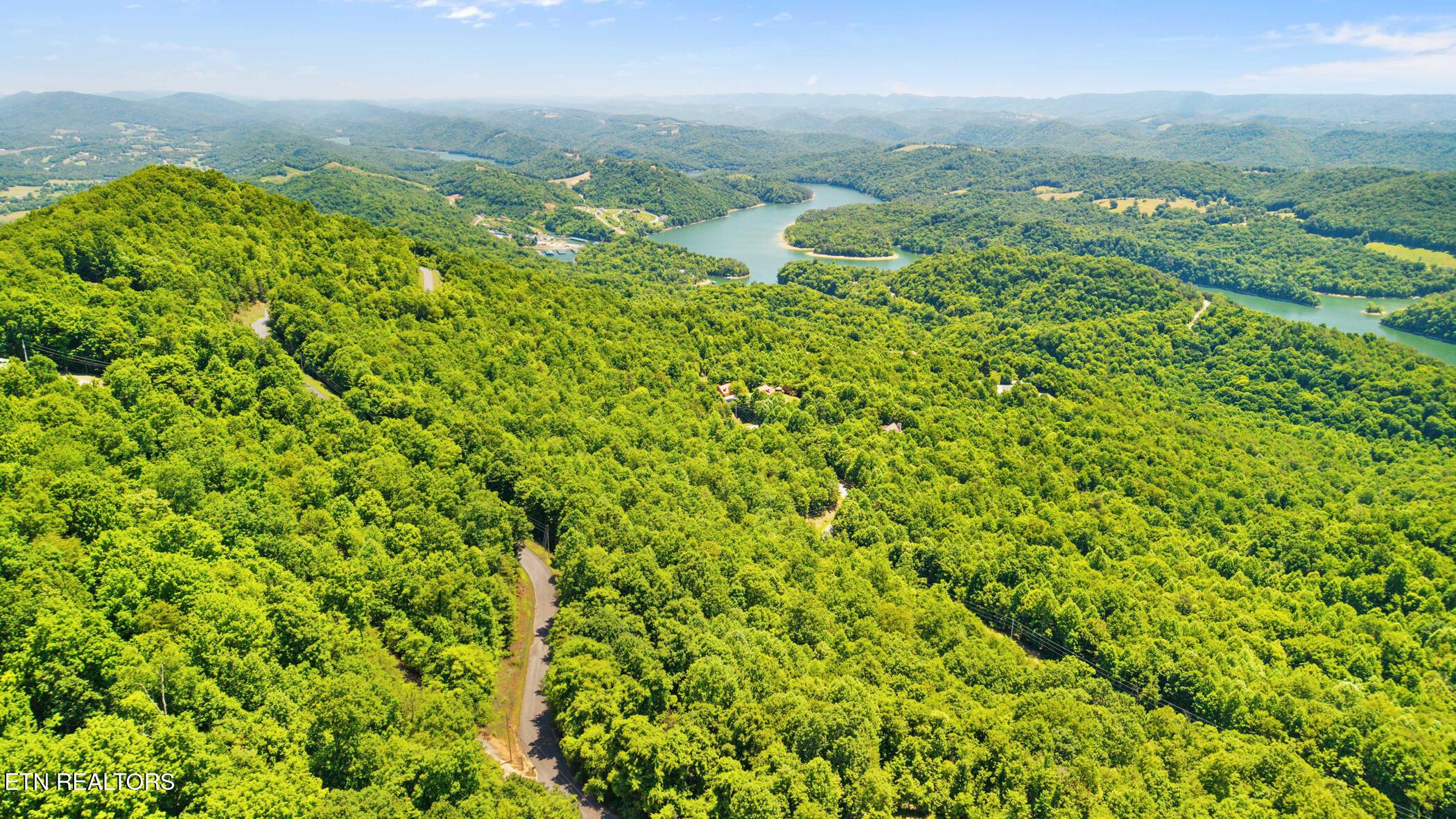 Norris Lake Real Estate - Image# 13