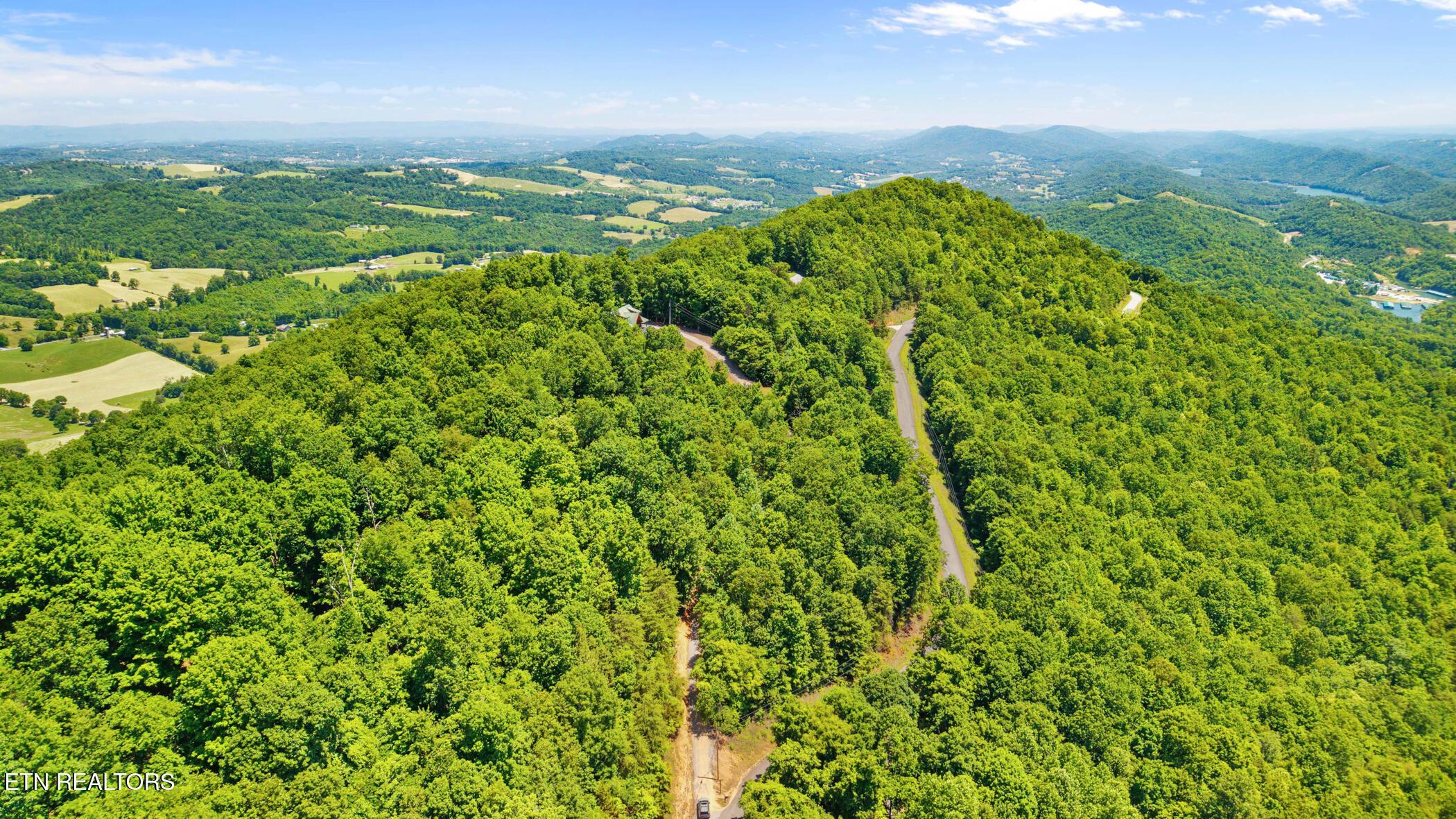 Norris Lake Real Estate - Image# 14