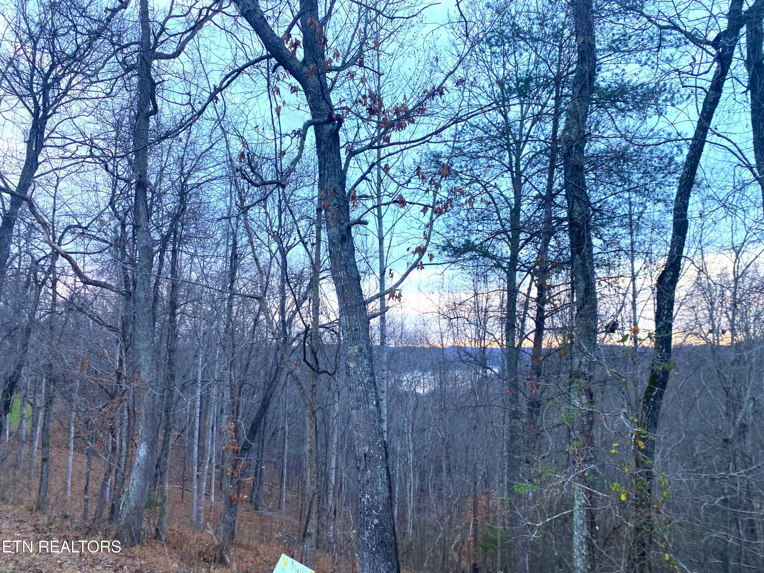 Norris Lake Real Estate - Image# 14