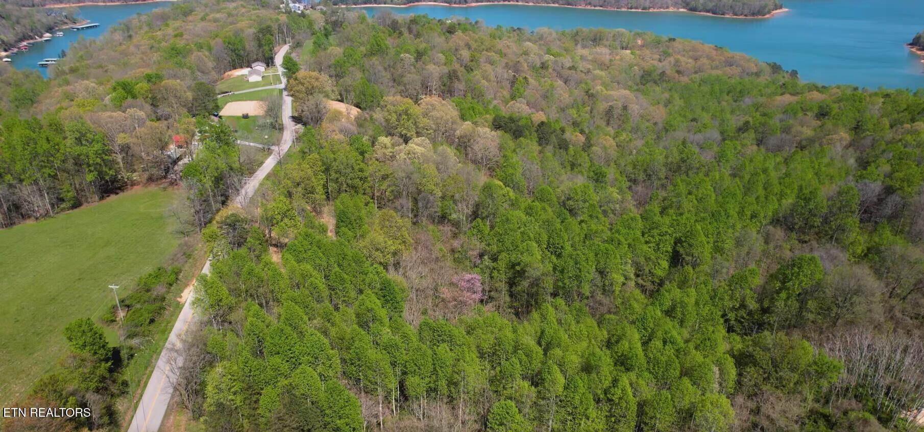 Norris Lake Real Estate - Image# 5