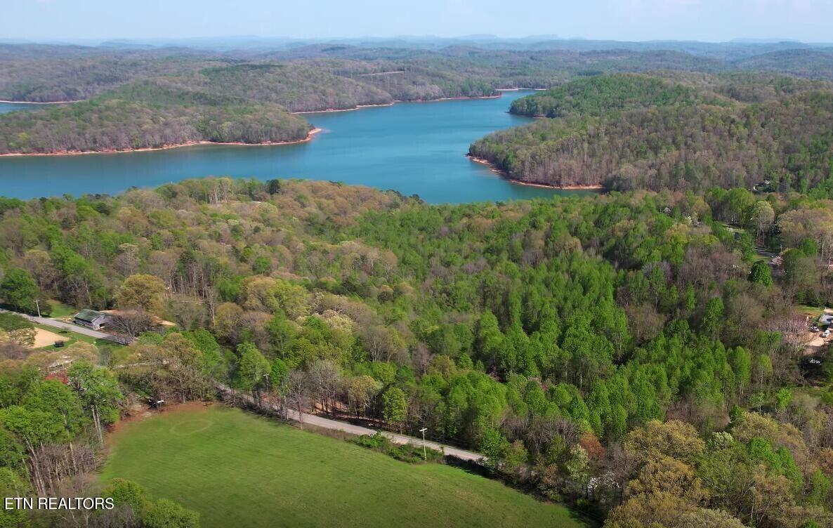 Norris Lake Real Estate - Image# 6