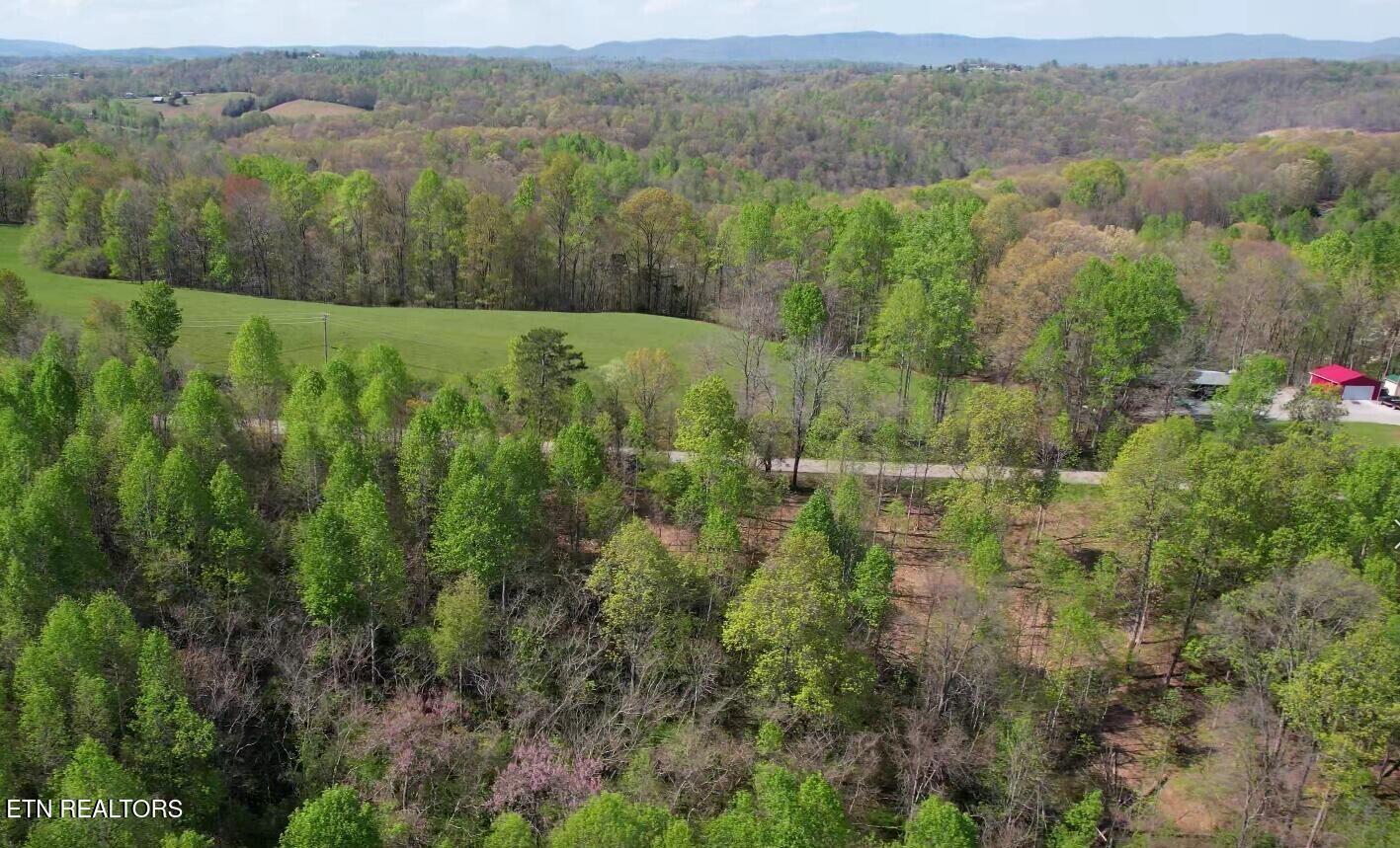 Norris Lake Real Estate - Image# 7