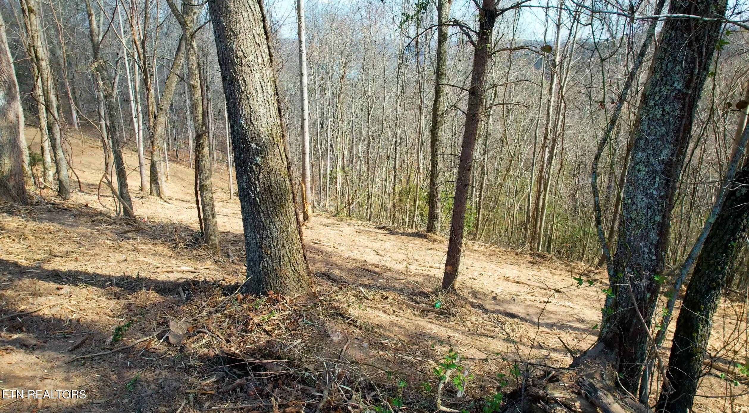Norris Lake Real Estate - Image# 12