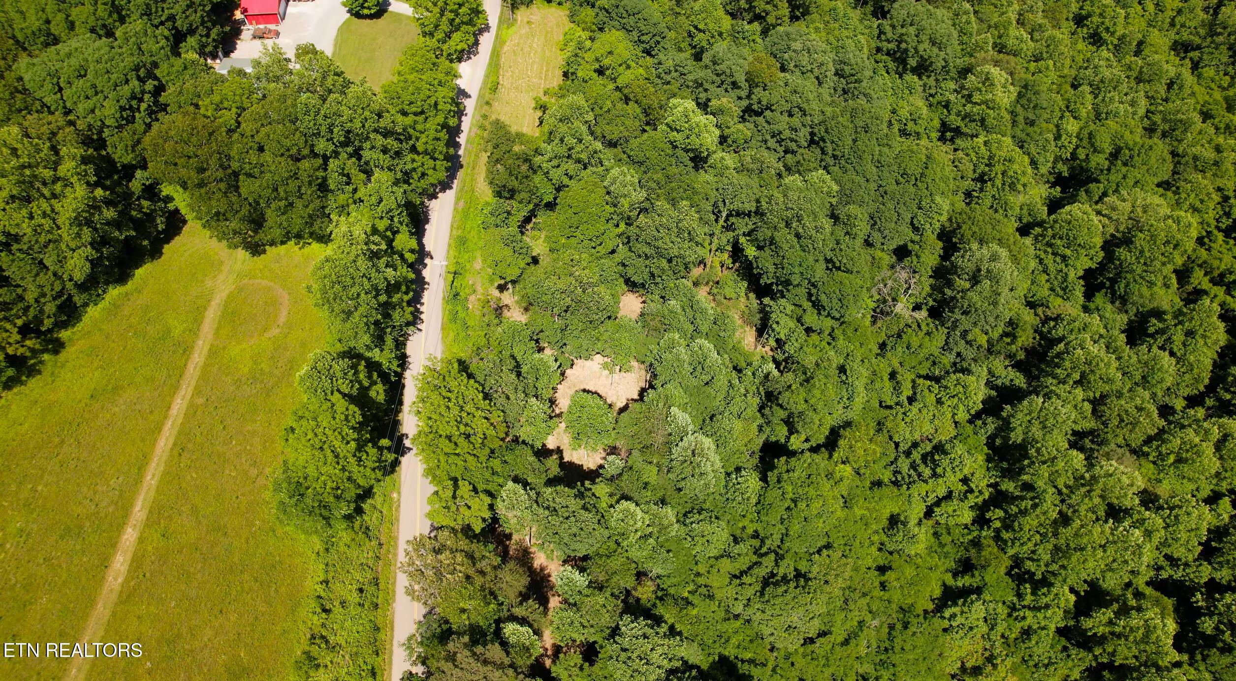 Norris Lake Real Estate - Image# 20