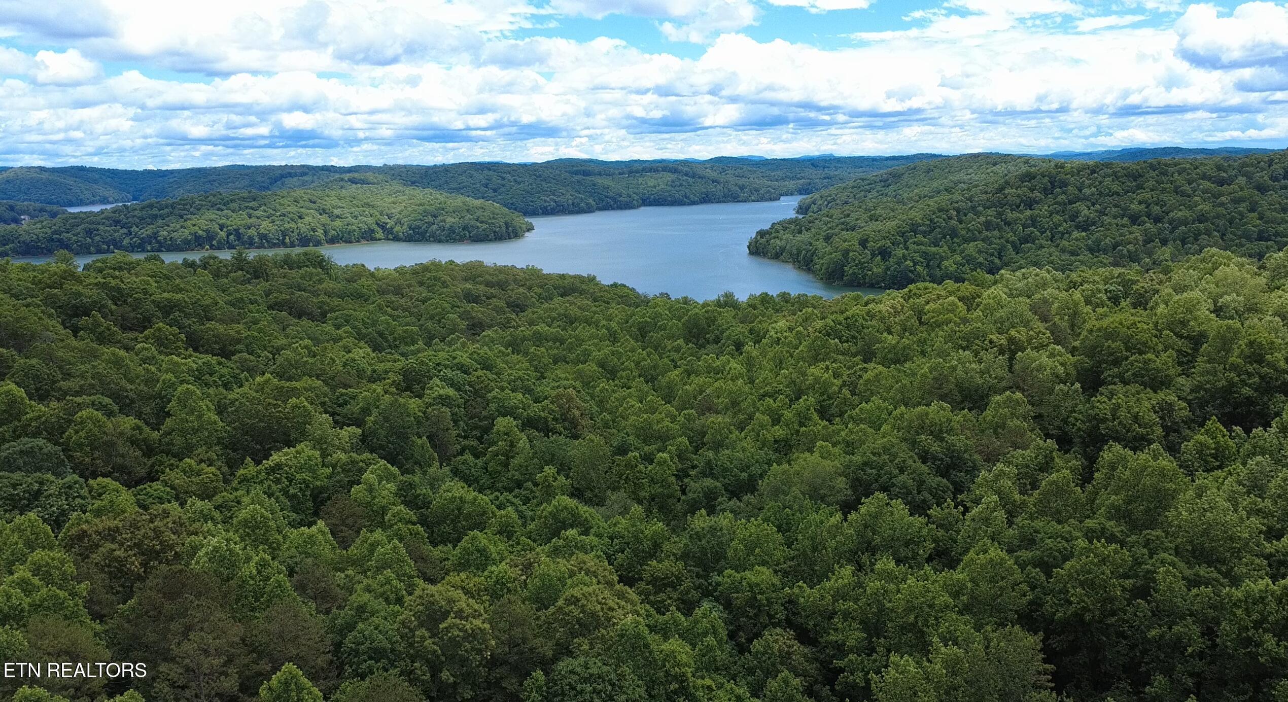 Norris Lake Real Estate - Image# 8