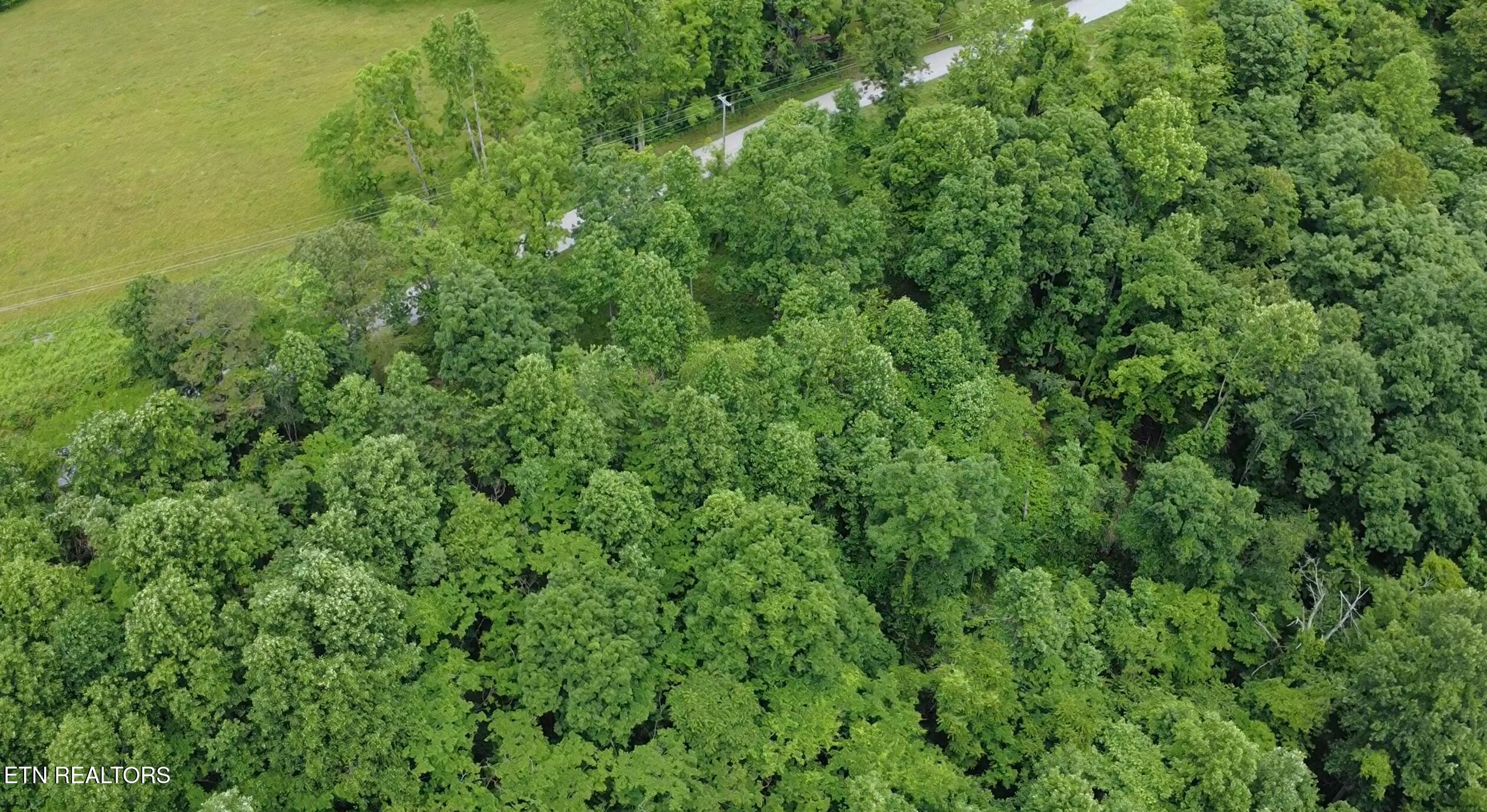 Norris Lake Real Estate - Image# 24