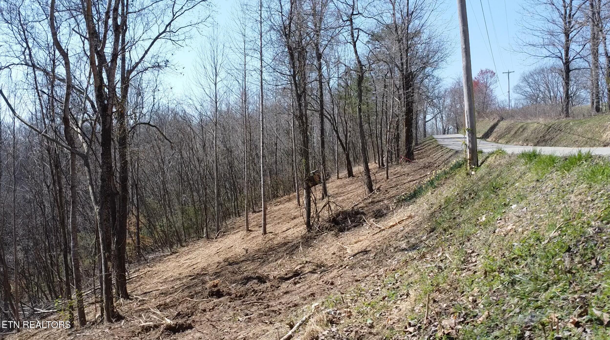 Norris Lake Real Estate - Image# 27
