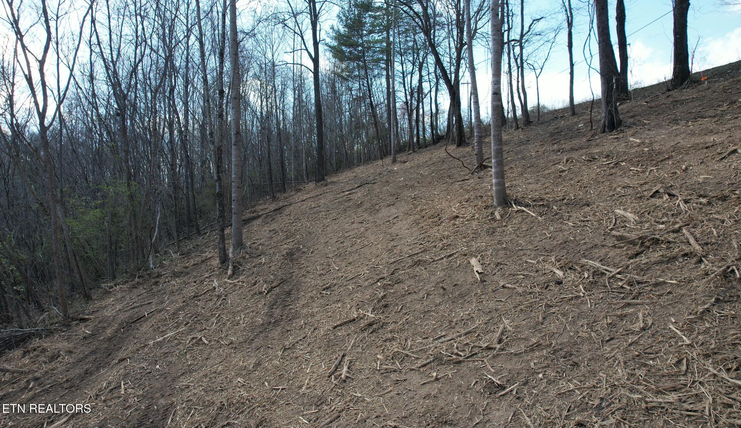 Norris Lake Real Estate - Image# 28