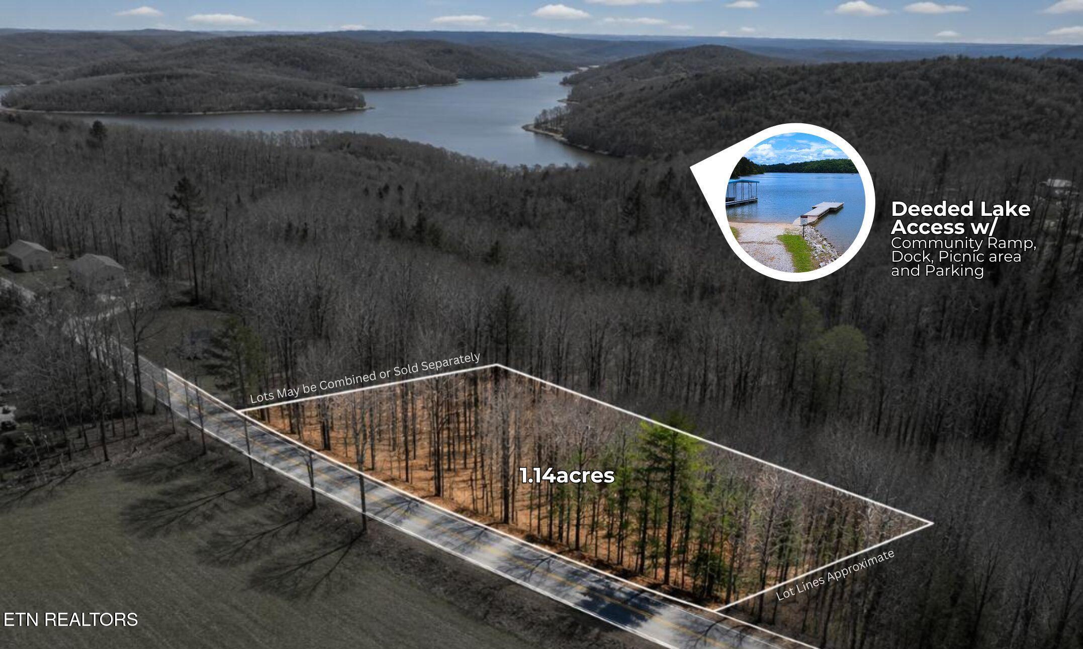 Norris Lake Real Estate - Image# 2