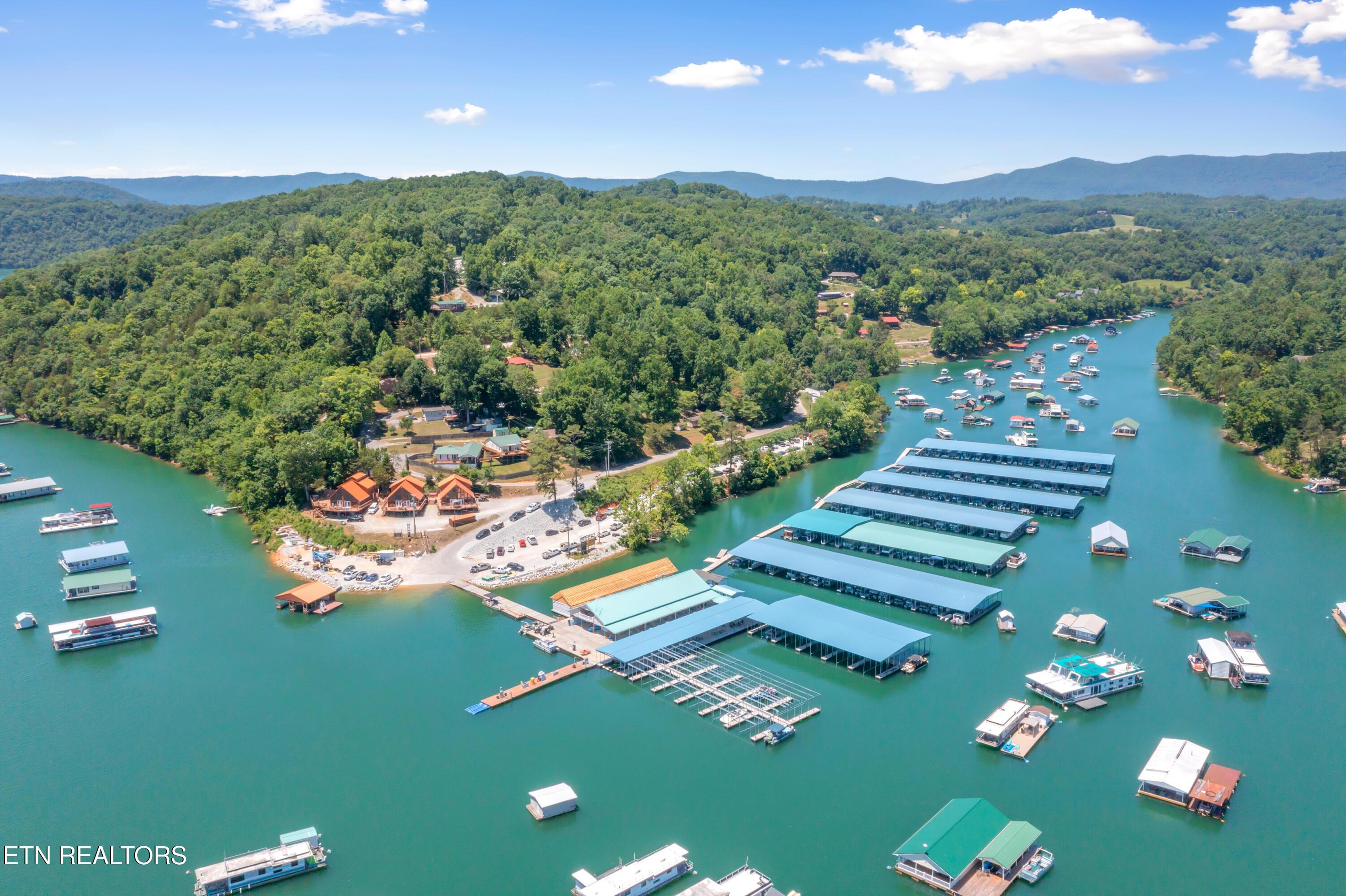 147 Flat Lake Circle, Speedwell, TN - Norris Lake Real Estate - Image# 6