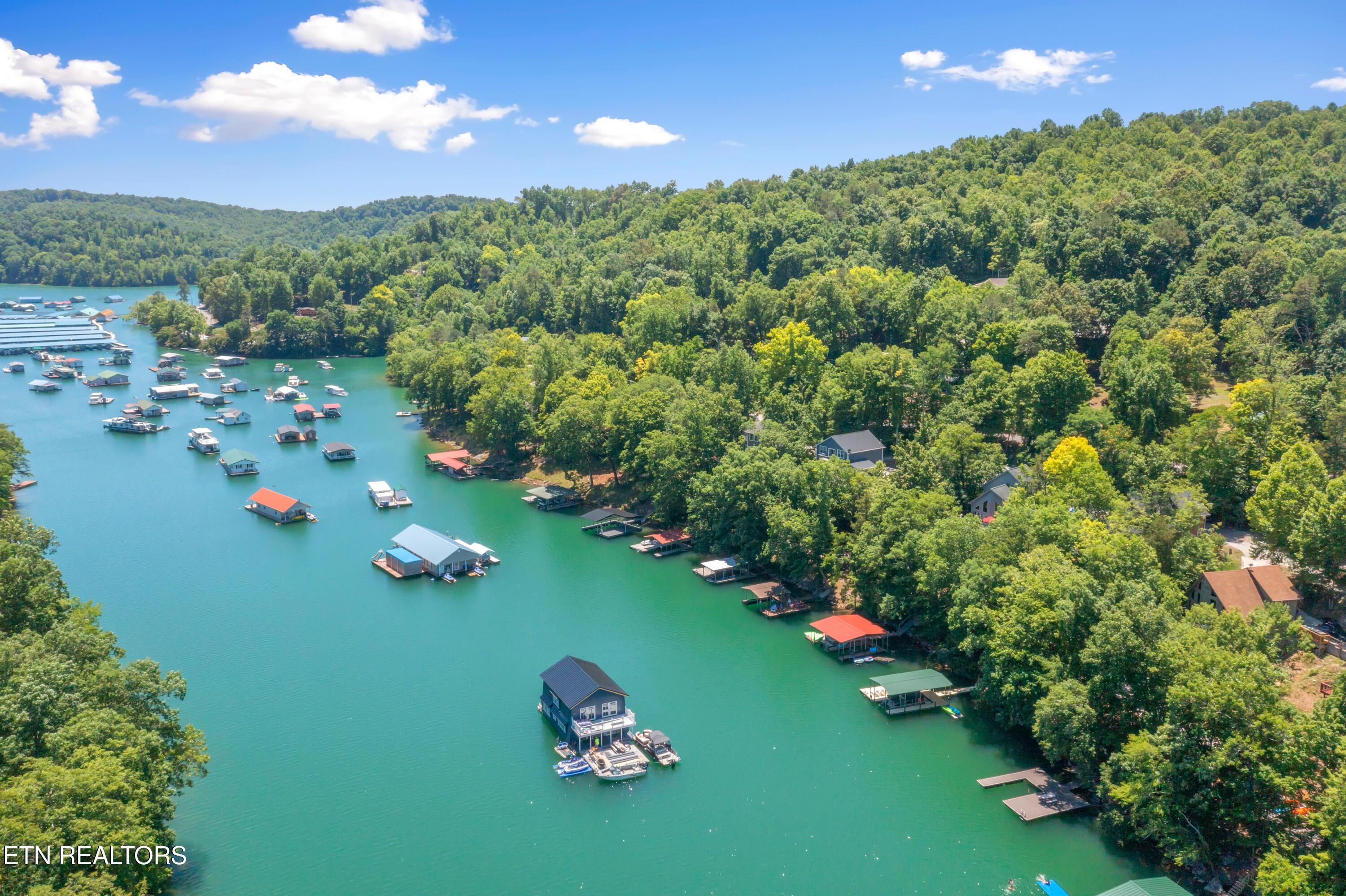 147 Flat Lake Circle, Speedwell, TN - Norris Lake Real Estate - Image# 5