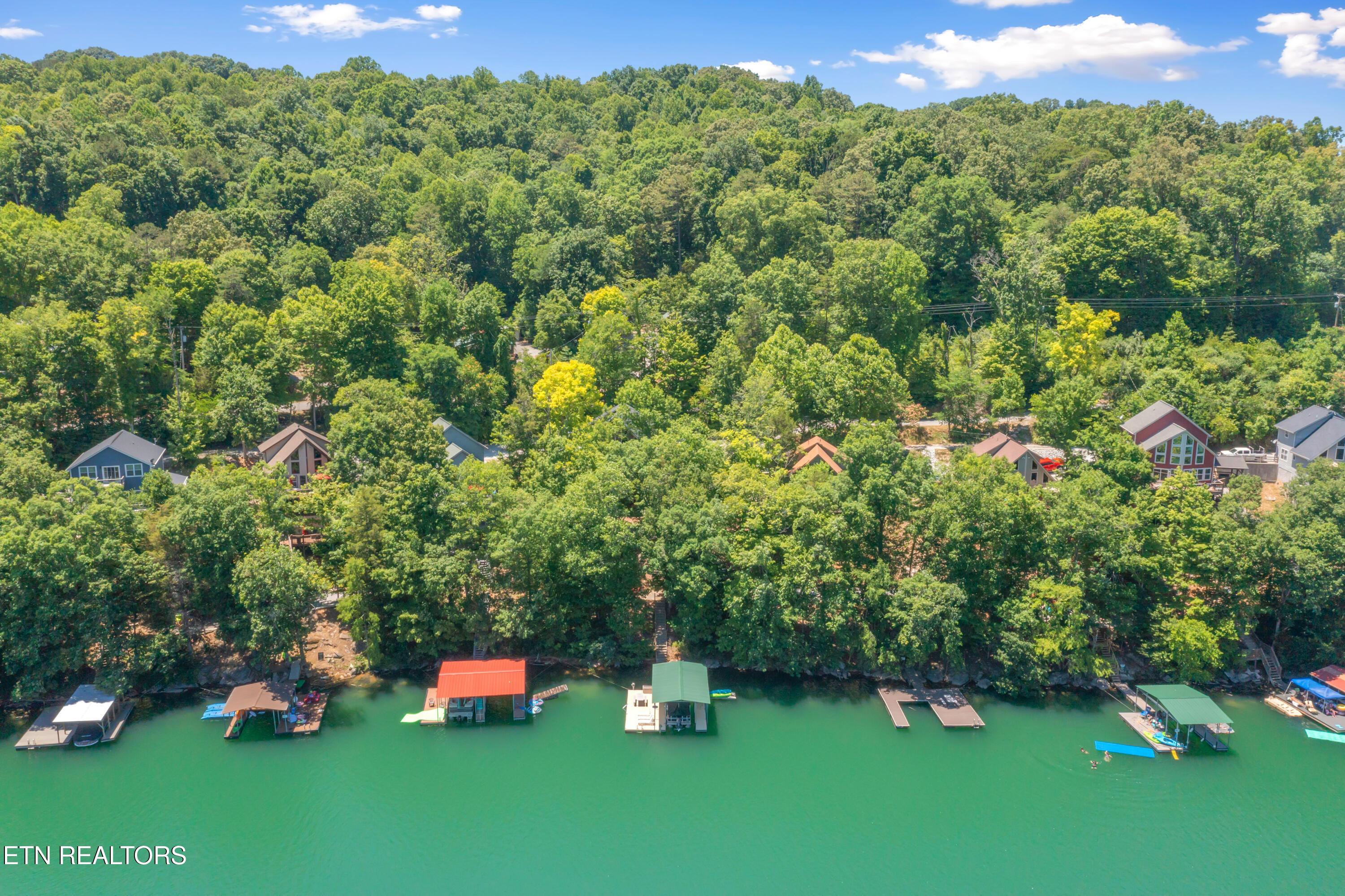 147 Flat Lake Circle, Speedwell, TN - Norris Lake Real Estate - Image# 9