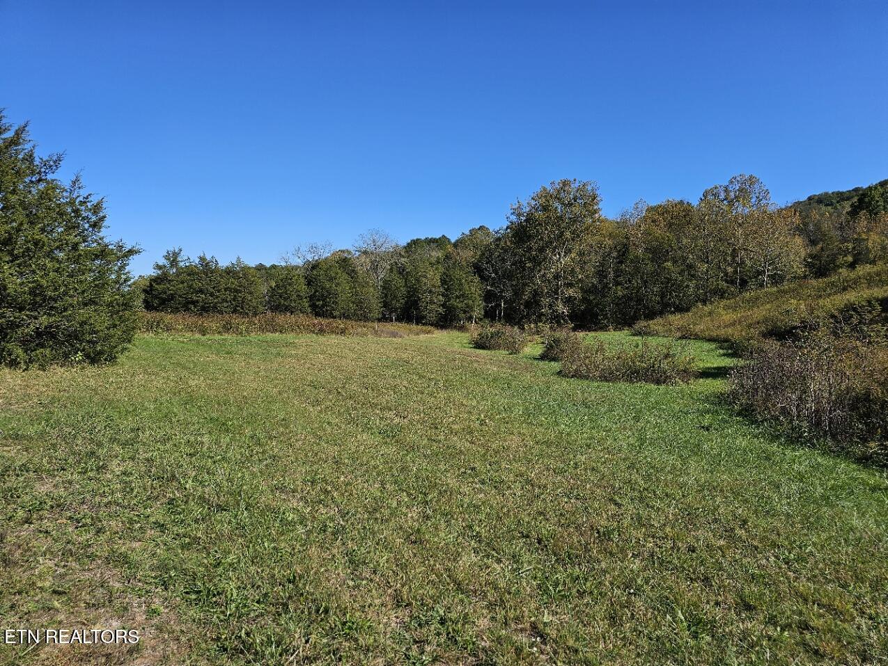 Norris Lake Real Estate - Image# 1