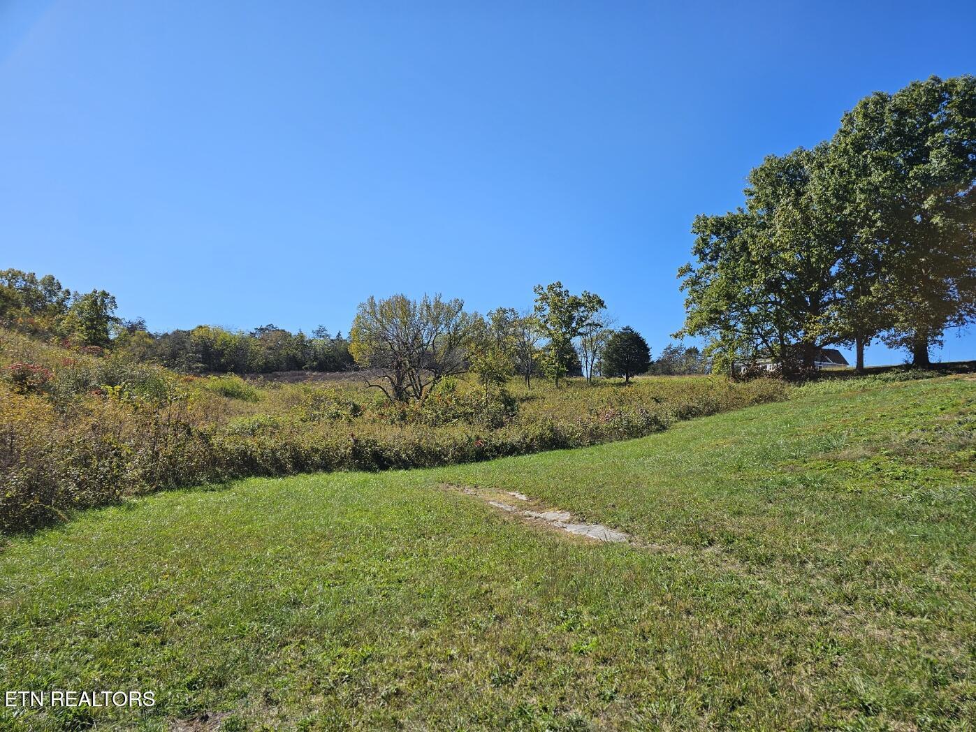 Norris Lake Real Estate - Image# 2