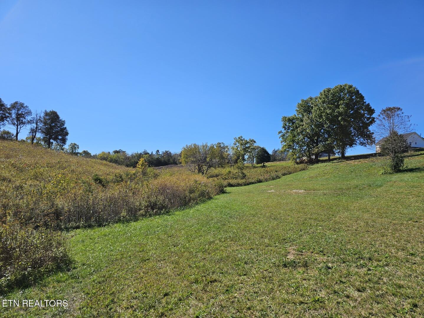Norris Lake Real Estate - Image# 3