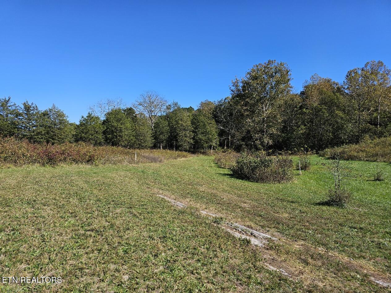 Norris Lake Real Estate - Image# 4