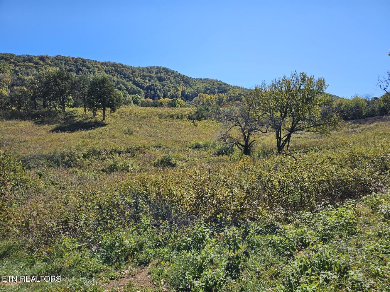 Norris Lake Real Estate - Image# 5