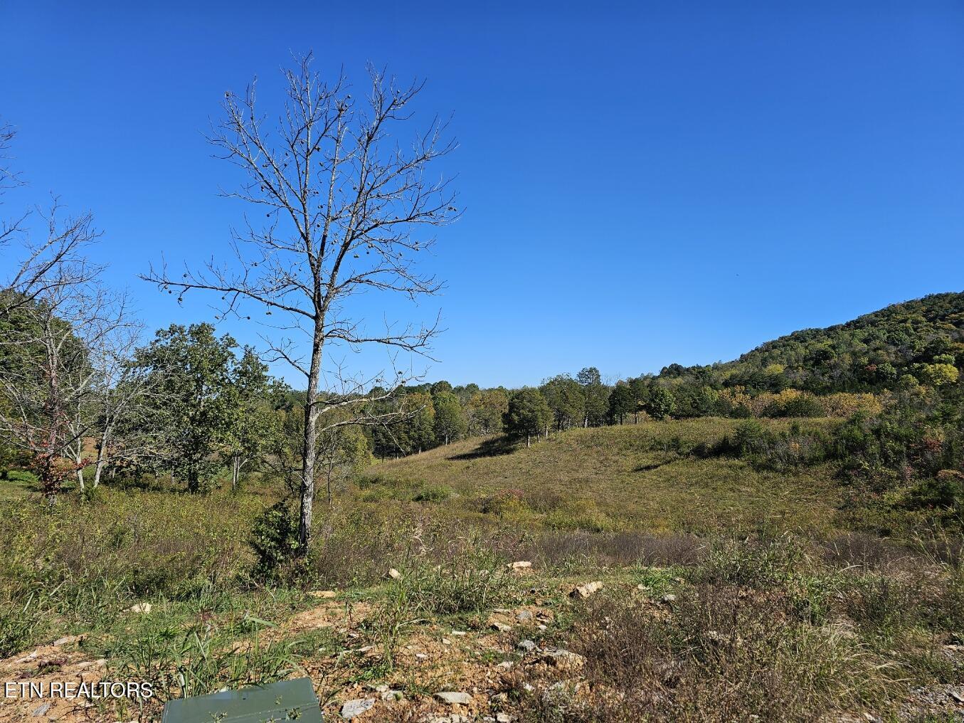 Norris Lake Real Estate - Image# 7
