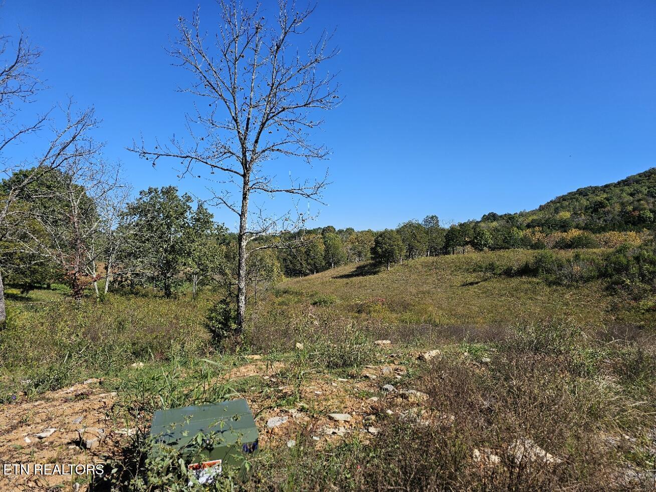 Norris Lake Real Estate - Image# 8