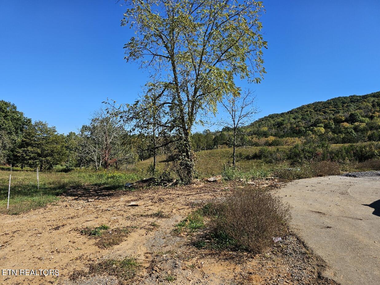 Norris Lake Real Estate - Image# 9