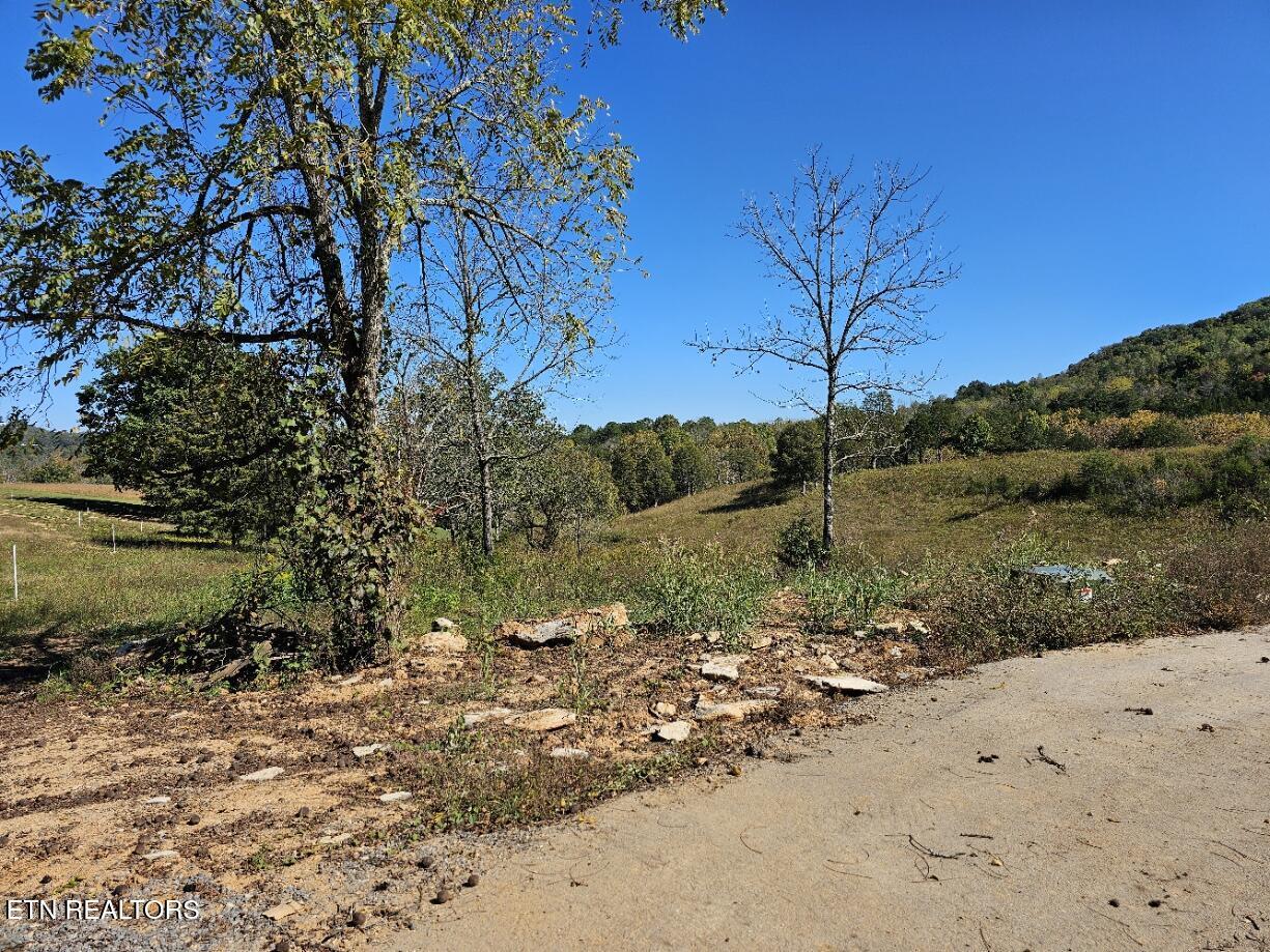 Norris Lake Real Estate - Image# 10