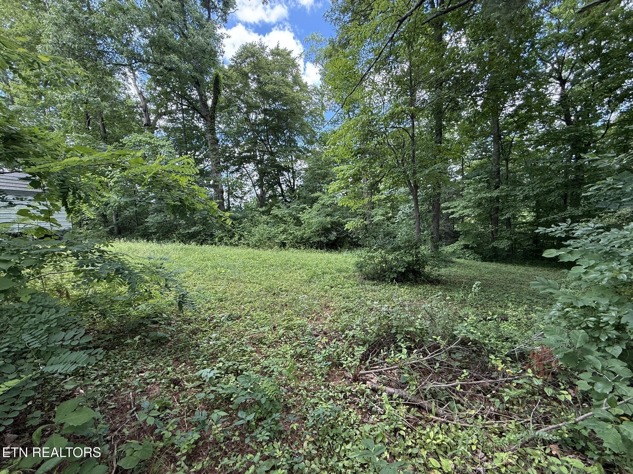 Norris Lake Real Estate - Image# 1