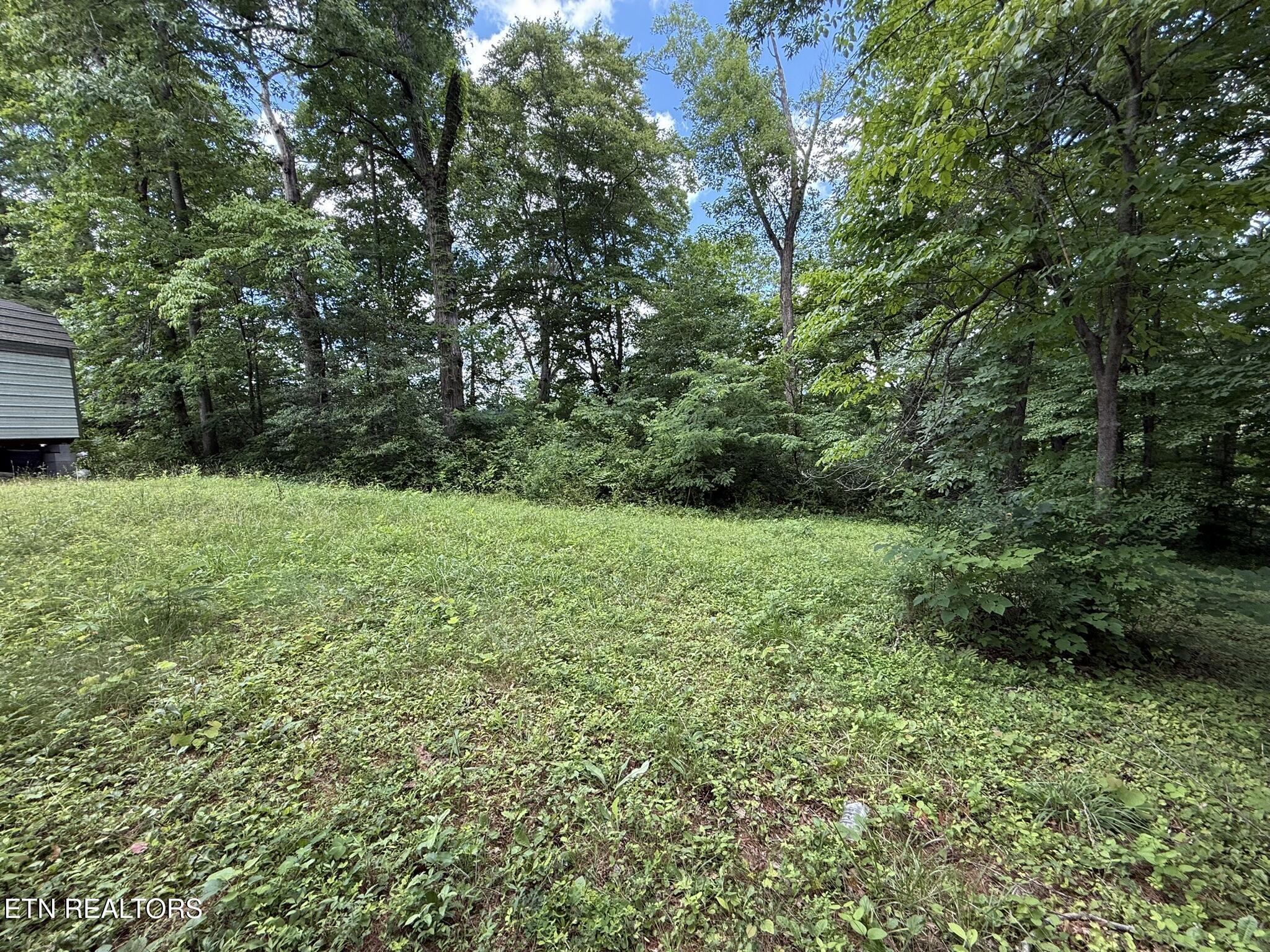 Norris Lake Real Estate - Image# 2