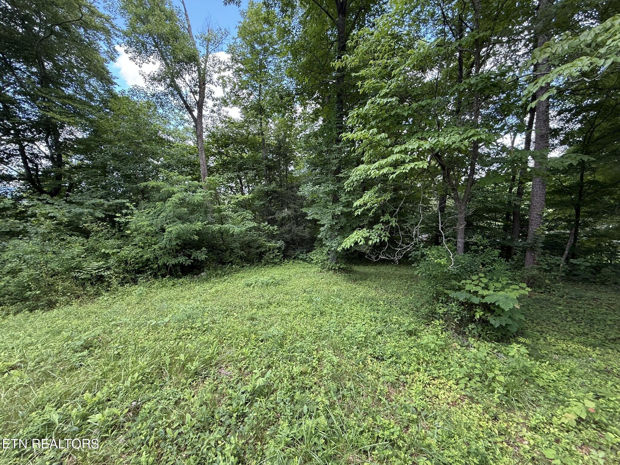 Norris Lake Real Estate - Image# 4