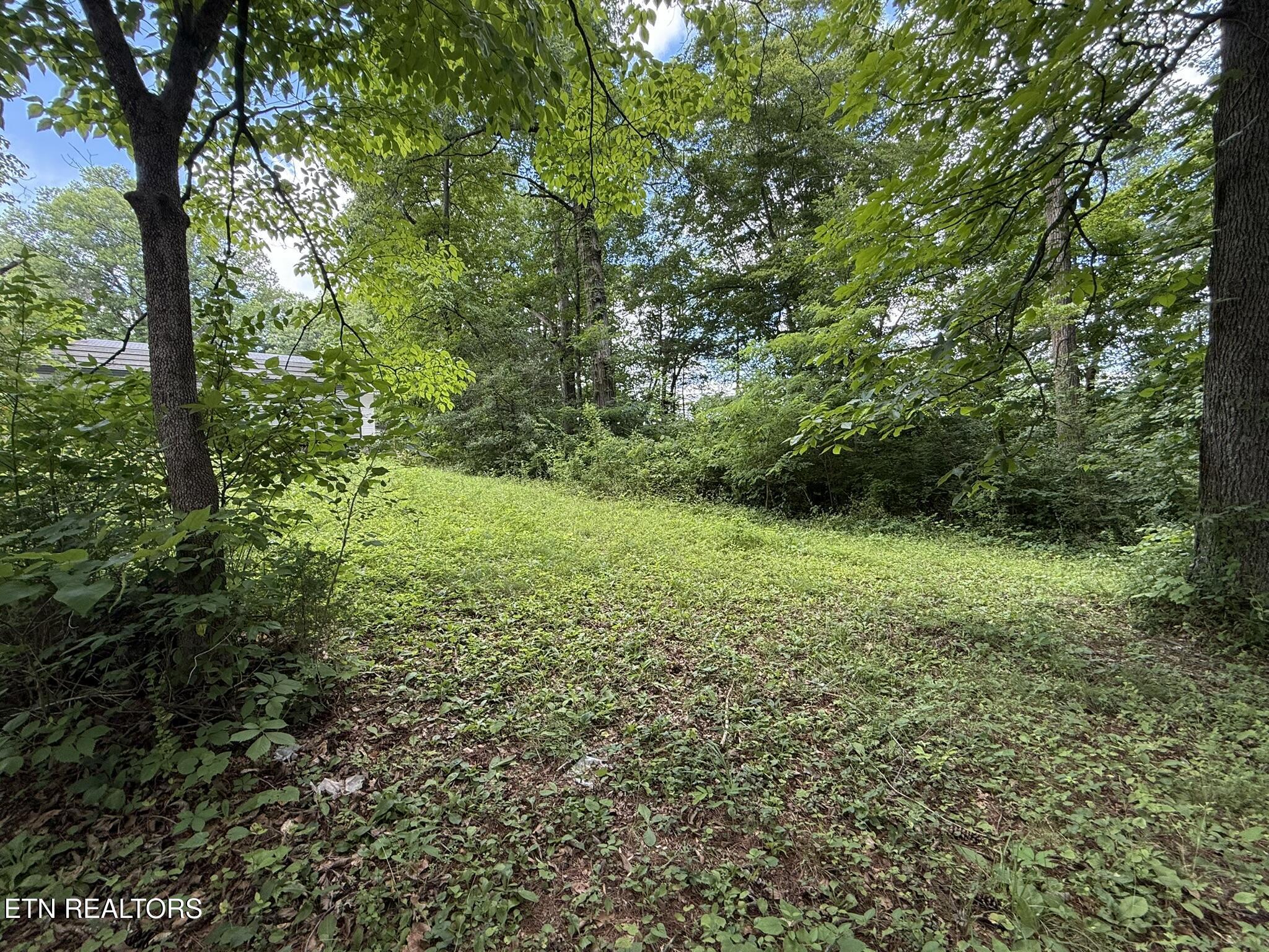 Norris Lake Real Estate - Image# 7