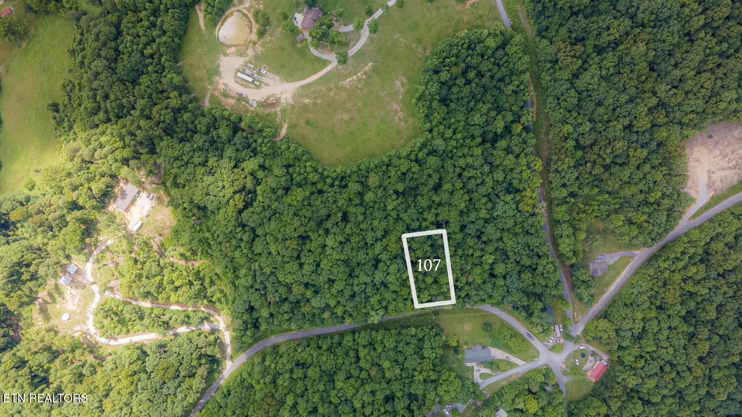Norris Lake Real Estate - Image# 2