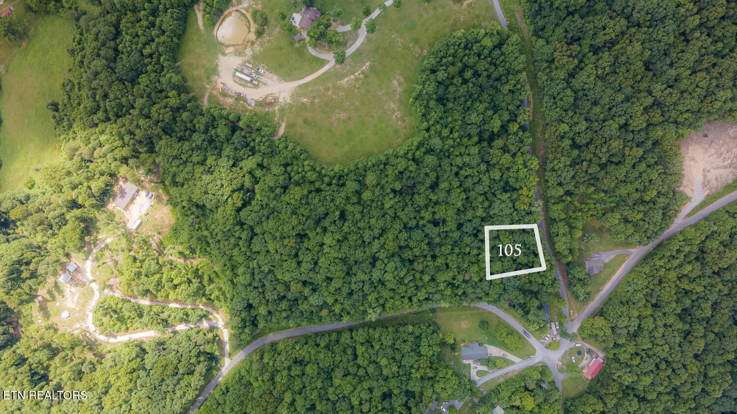 Norris Lake Real Estate - Image# 2