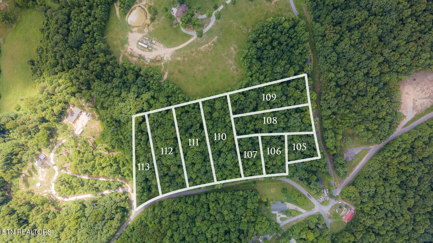 Norris Lake Real Estate - Image# 3