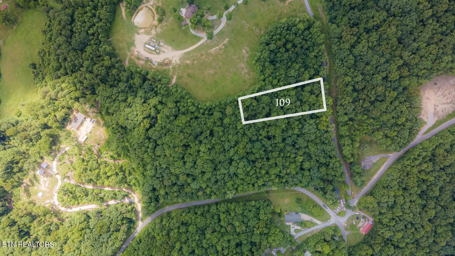 Norris Lake Real Estate - Image# 1