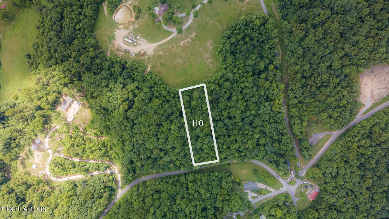 Norris Lake Real Estate - Image# 1