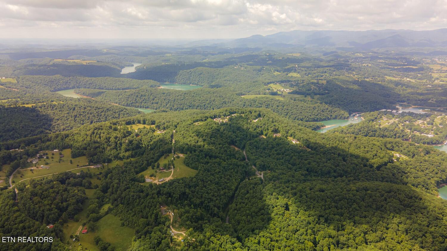 Norris Lake Real Estate - Image# 2