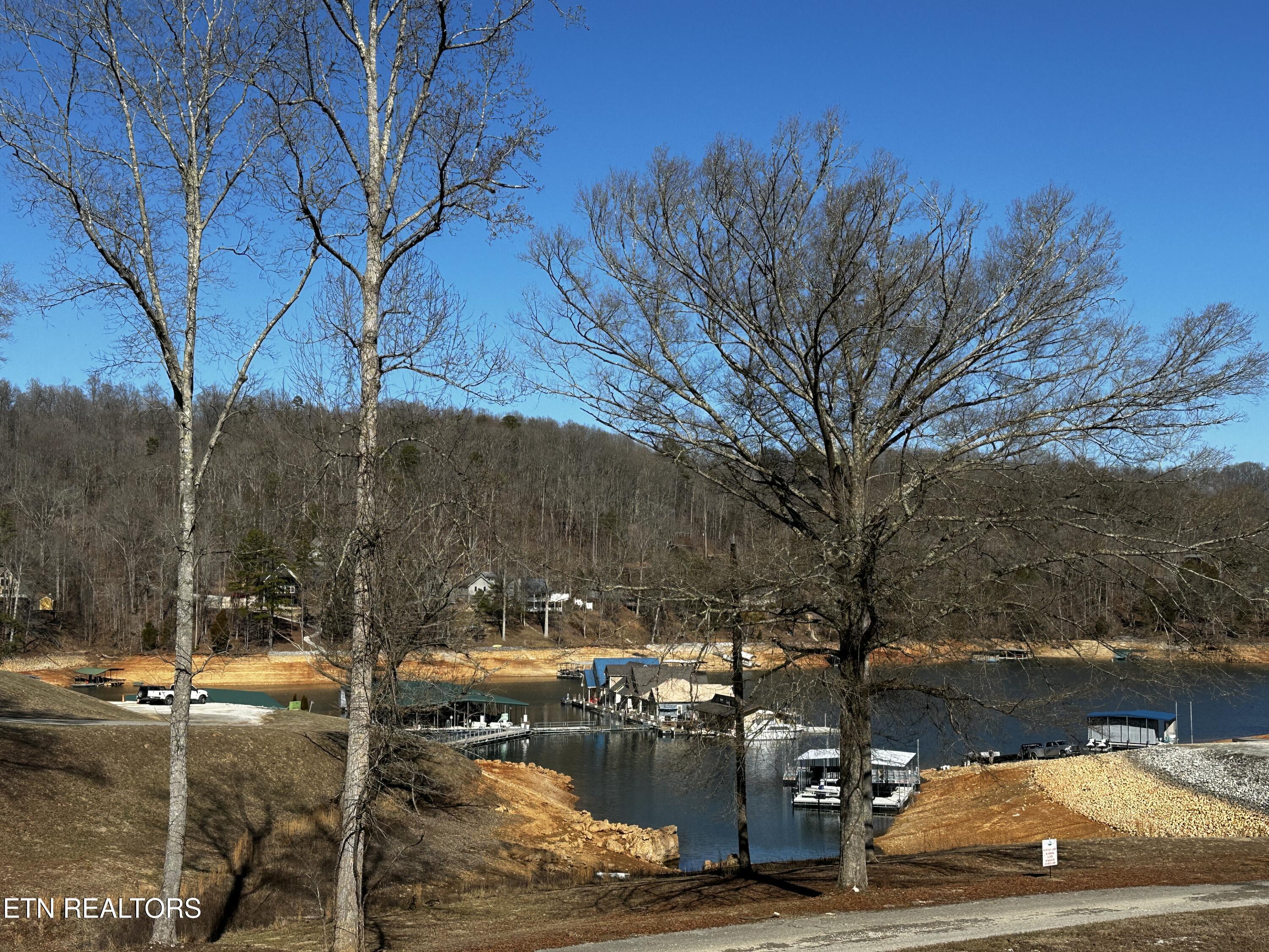 Norris Lake Real Estate - Image# 7